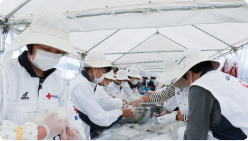 【写真】国際活動